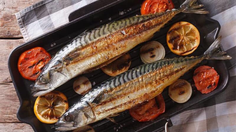 Saba Teriyaki